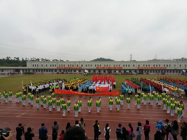 数院方阵